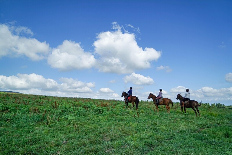 천고마비 계절 가을에 떠나는 제주 농촌 체험 '풍성'