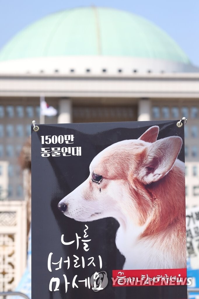 문대통령 "개 식용 금지 신중히 검토할 때"