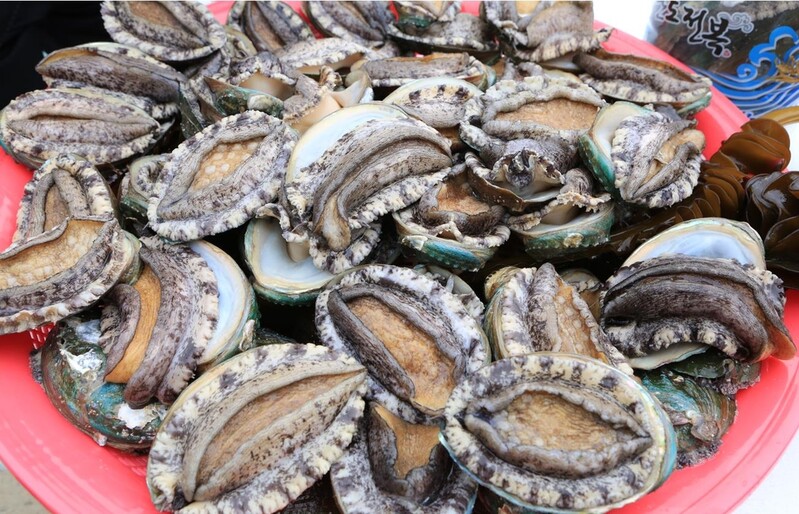 올해 추석 선물도 면역력 좋은 '완도 전복' 인기