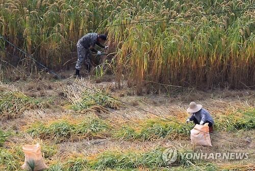 Number of farmers, fishermen continues to fall in S. Korea