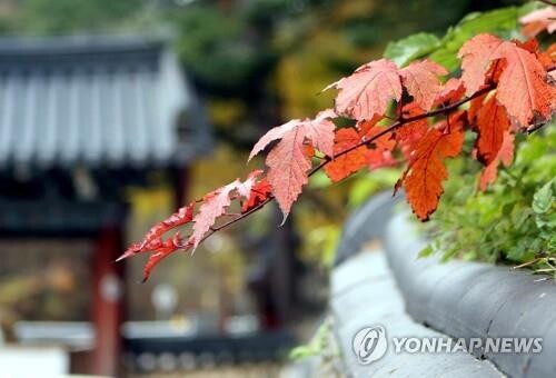 풍경소리 청량한 가을밤에 정선 정암사 개산문화제