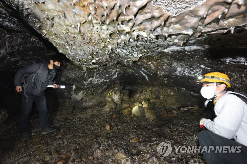제주서 국제보호지역 관리자 워크숍…국내외 217명 온라인 참여