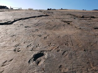 100 mln-year-old dinosaur footprints designated as Korea's natural monuments