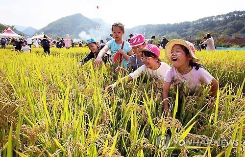 완주 와일드＆로컬푸드축제 취소…"코로나19 속 주민 안전 보장"