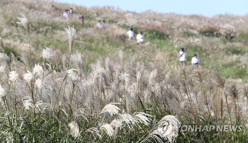 '맑은 가을 정취 즐겨볼까' 연휴 첫날 전국 나들이 명소 북적