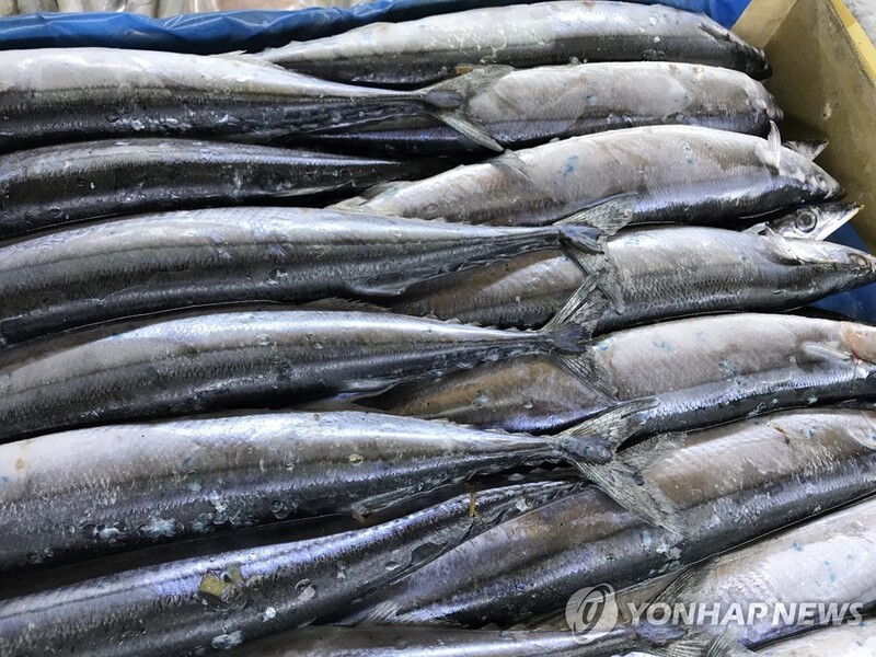 [알쏭달쏭 바다세상Ⅲ](35) 서리 내리는 10~11월 제맛을 낸다