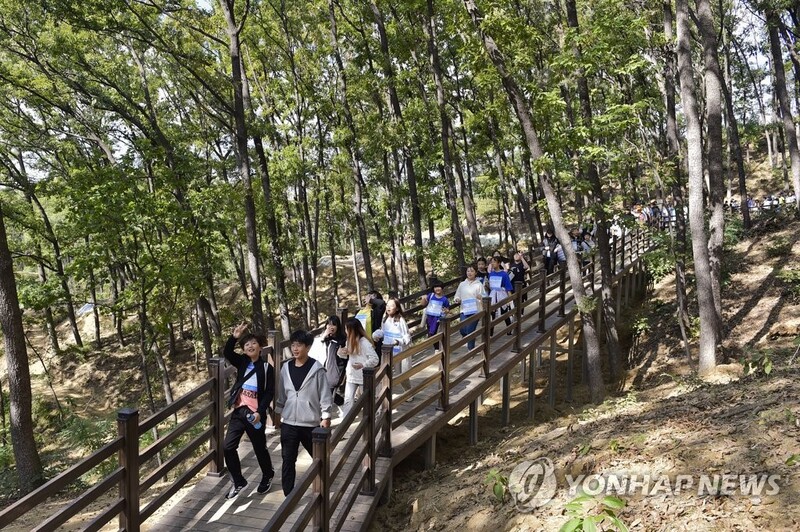 원주국제걷기축제·산소길 걷기 방역상황 악화에 11월로 연기