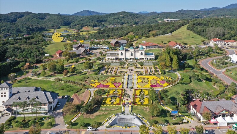 [픽! 임실] 치즈테마파크 수놓은 '천만 송이 국화꽃'