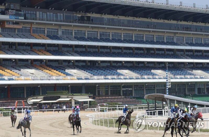 제주도, 퇴역 경주마 도축 펫푸드 산업화 추진…동물단체 반발