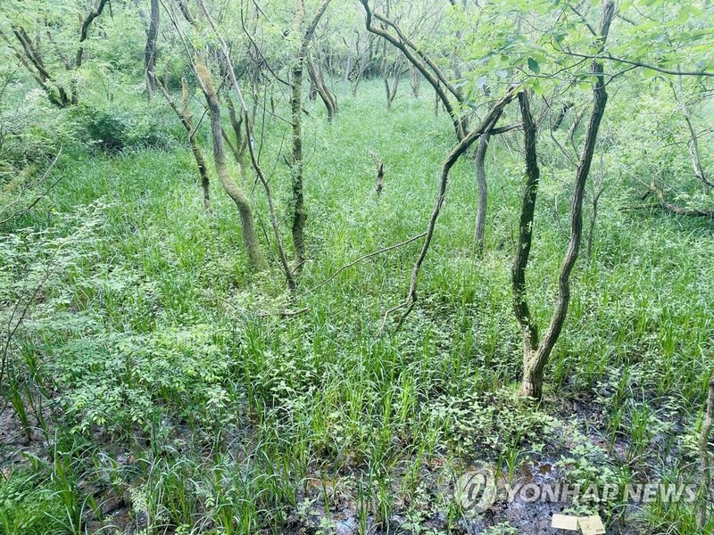 고창 운곡습지·고인돌유적, 세계 100대 지속가능 관광지 선정