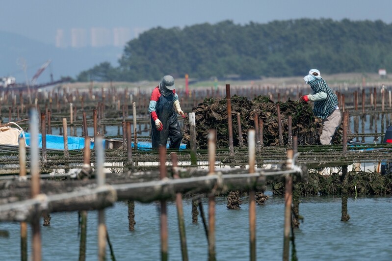 공항 들어설 '부산 가덕도'…사라질 민속문화를 기록하다