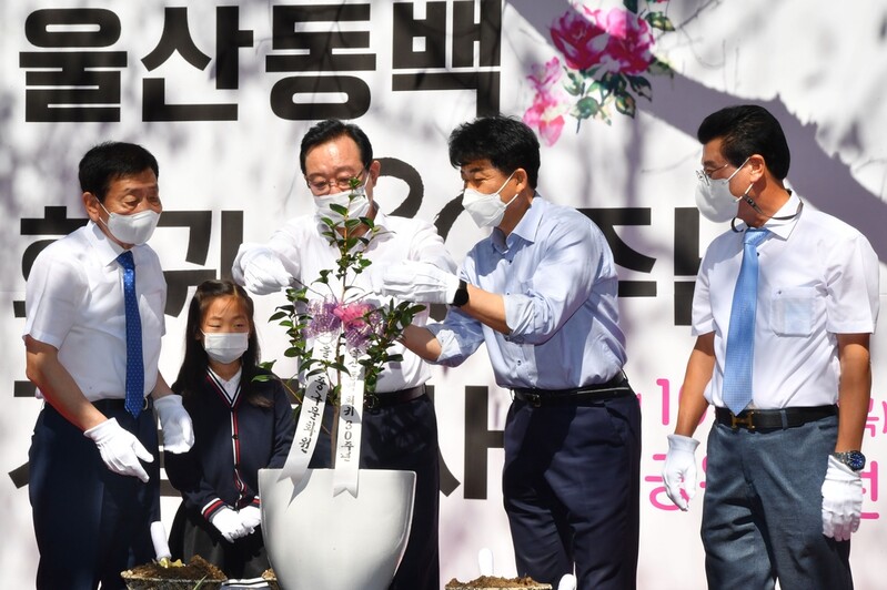 400년 만에 고향 온 '울산동백'…회귀 30주년 기념식 열려