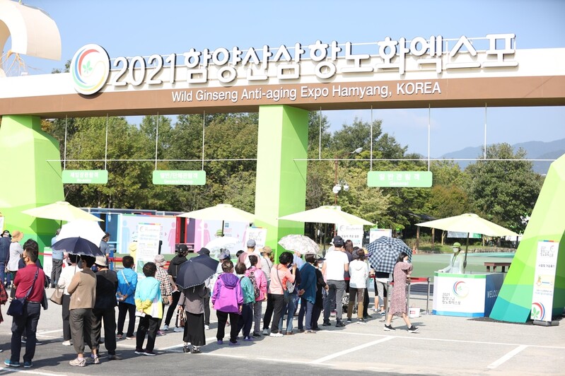 함양산삼항노화엑스포 코로나 속 한 달 대장정 마무리