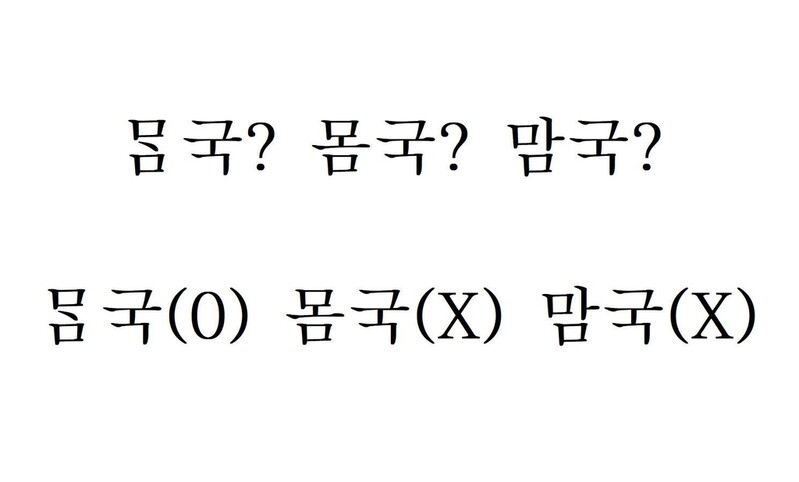 [다시! 제주문화](20) 잘못된 제주어 넘치는 인터넷…고민 없는 행정