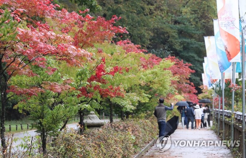 울긋불긋 단풍 구경…연휴 둘째 날 전국 명소 나들이객 북적