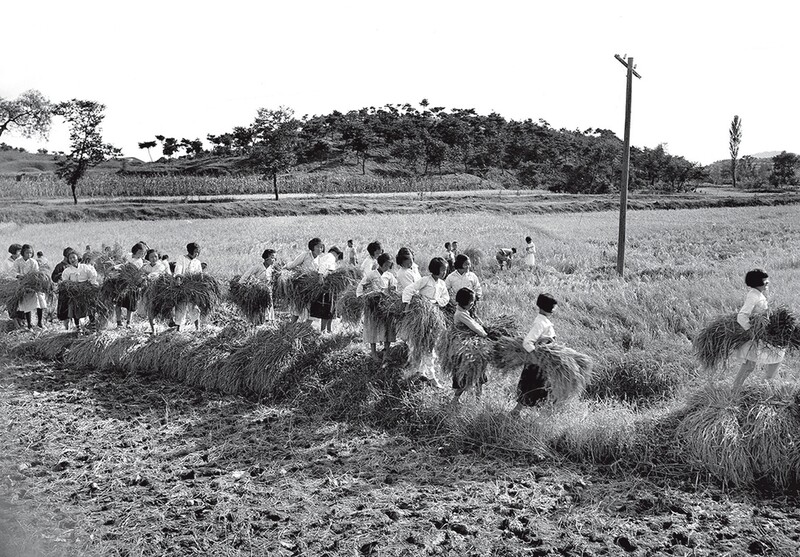 [사진 속 어제와 오늘] 가을걷이