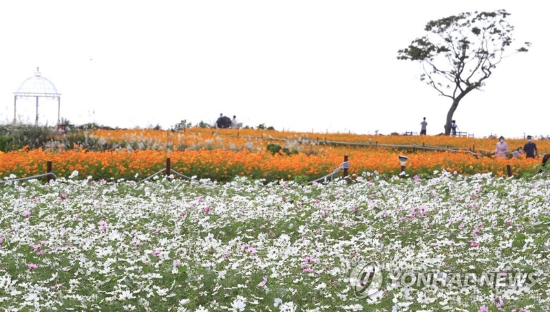 개천절·한글날 연이은 황금연휴 제주 관광객 32만1천명