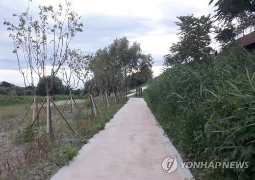 관광공사, 코로나19 우울감 극복 비대면 걷기행사 개최