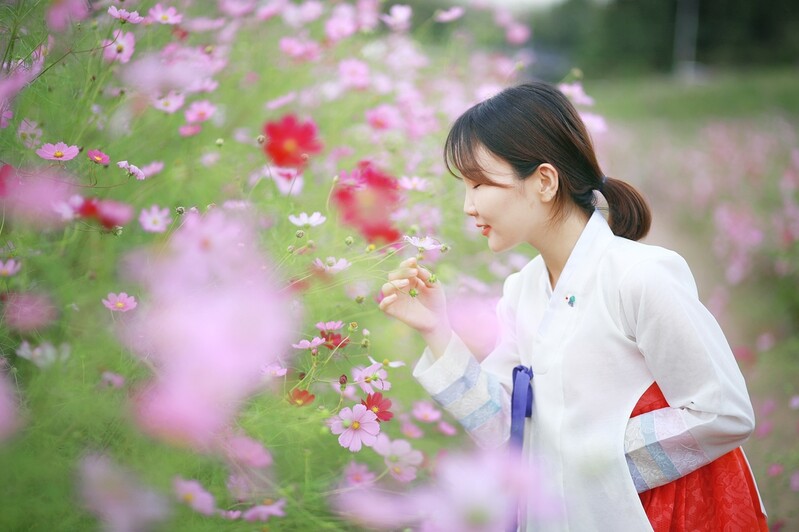 한복 입고 즐기는 곡성군의 가을…한복문화 프로그램 운영