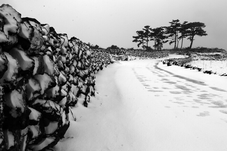 흑백사진으로 보는 세한도…강정효 사진전 '세한제주' 16일 개막