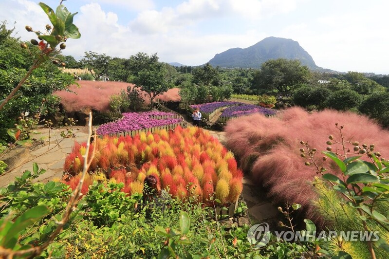 온라인 마케팅 통해 제주 관광 매력 세계에 알린다