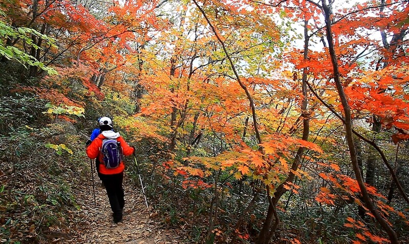 속리산도 거리두기 3단계, "최대 8명까지 등산모임 가능"