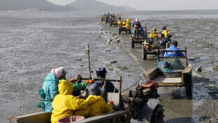 [Hallyupedia] Gyeungungi (경운기)