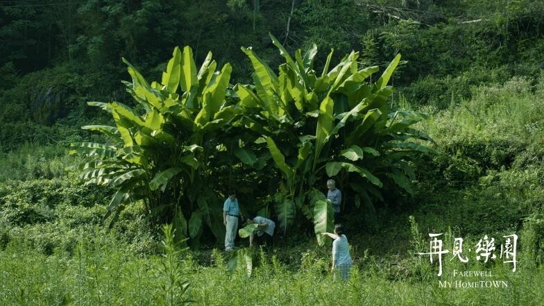 부산영화제 뉴커런츠상에 '안녕, 내고향'·'같은 속옷을…'(종합)