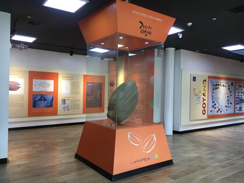 한반도 신석기 벼농사 증거 '고양시 볍씨' 기념탑 세운다