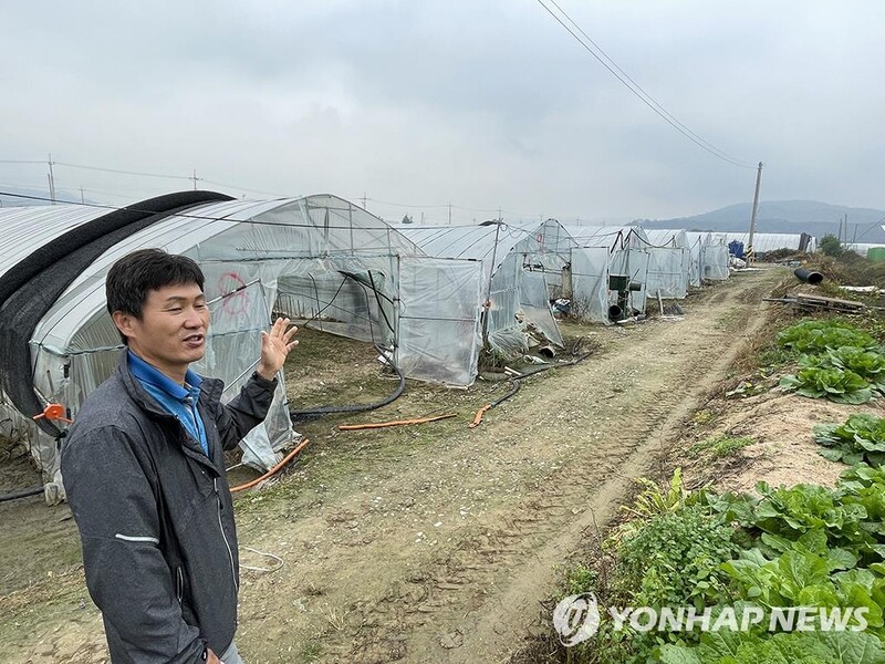 (Yonhap Feature) S. Korean farmers struggle from labor shortage as pandemic disrupts migrant work system