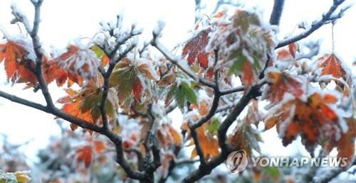 Seoul logs coldest mid-October morning in 67 years
