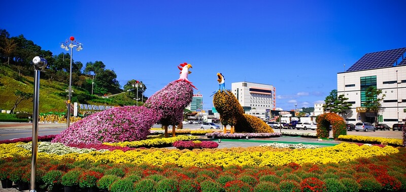 [픽! 금산] 금산인삼관 광장의 봉황 한 쌍