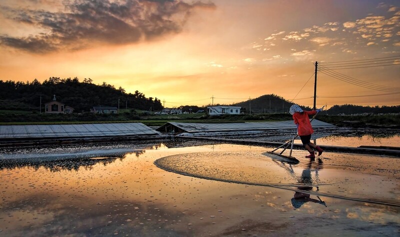 세계 명품 신안천일염 만든다…품질 저하시기 생산 중단