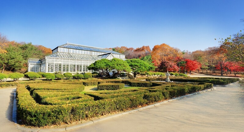 한국 최초 서양식 온실서 듣는 '창경궁 인문학 강좌'