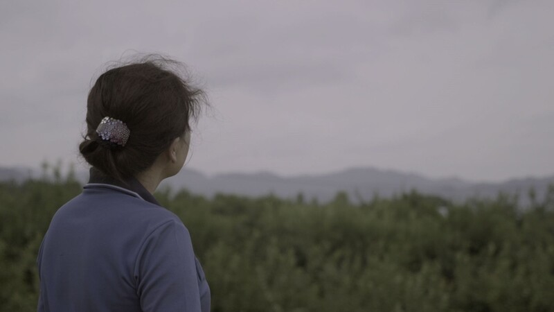 '평양 아줌마' 혹은 '탈북자'…가족에게 가려는 련희 씨의 분투