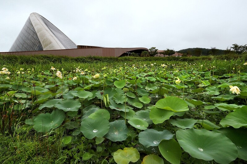 [여기 어때] '작은 지구' 서천 생태원