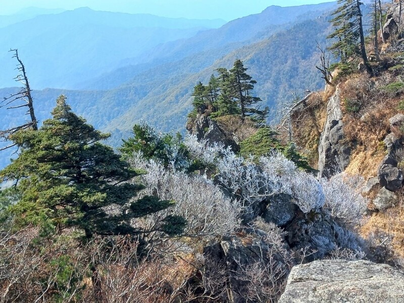 지리산 주 능선에 하얀 서리·얼음…올해 첫 상고대