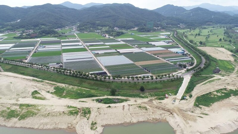 홍색으로 물든 도로변…의령군, '명품 100리 꽃길' 조성한다