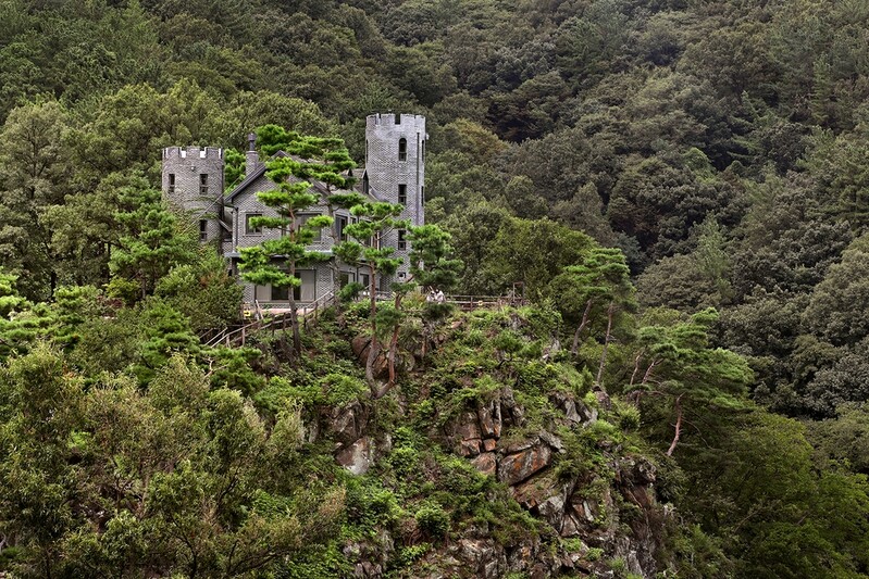 [imazine] 국내에서 즐기는 이국적 풍경 ② 옥천 수생식물학습원