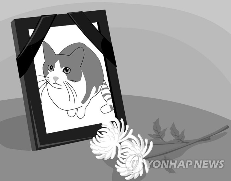 반려동물 화장비용 10% 할인…대전시·동물장묘업체 3곳 협약