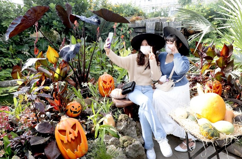 [픽! 세종] 핼러윈 분위기 물씬 풍기는 국립세종수목원