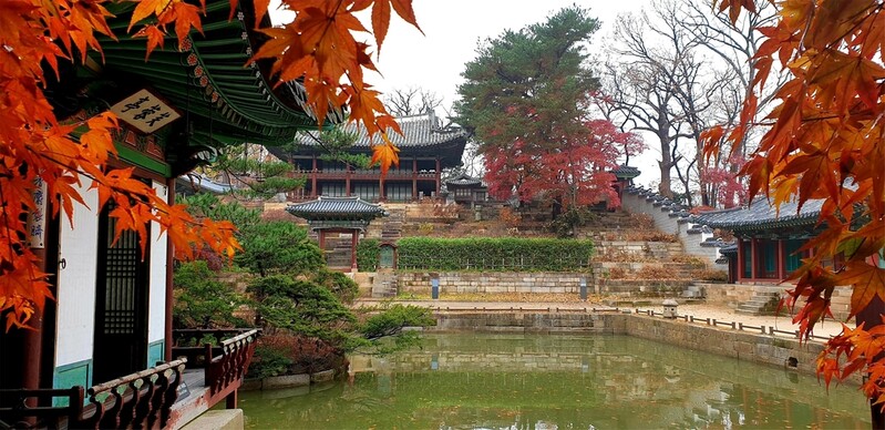 궁궐·조선왕릉 단풍 감상하세요…"내달 중순까지 절정"
