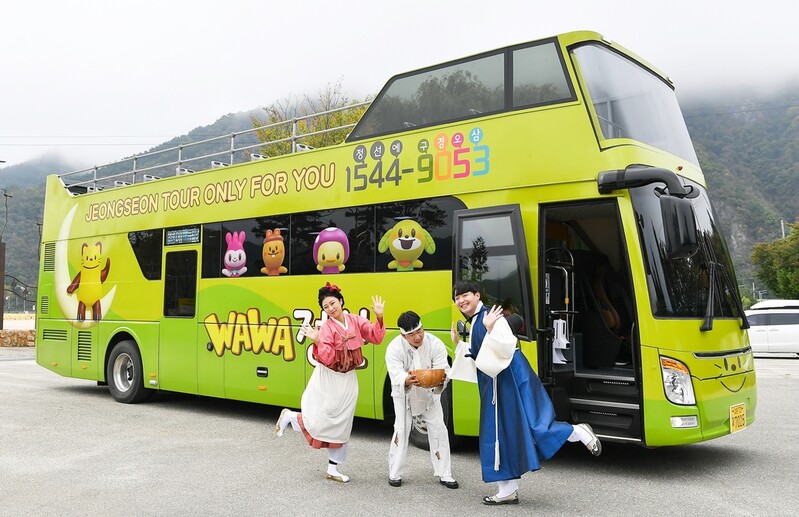 정선 2층 투어버스 타고 캐릭터 배우와 인생 샷 '찰칵'