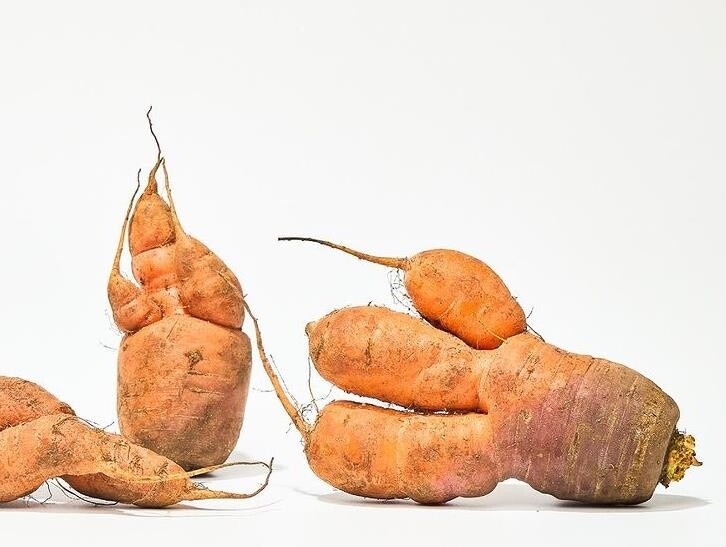 [SNS세상] "못생겨도 괜찮아"…못난이 농산물의 맛있는 반란