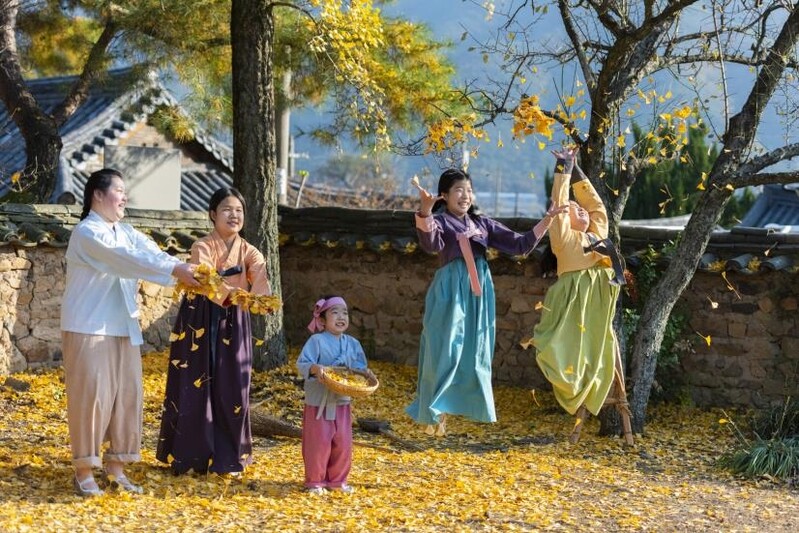 600살 차나무 있는 고택에서 늦가을 밀양을 느낀다