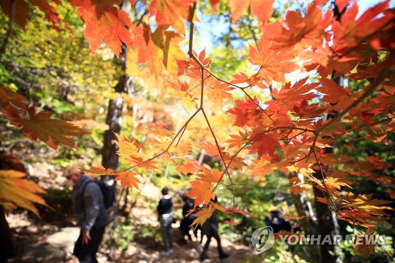 강원 단풍산마다 북적…설악산 주말 이틀간 5만7천명(종합)
