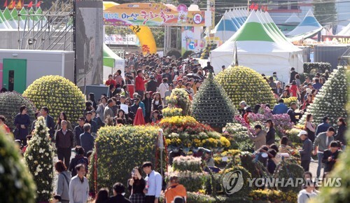 마산국화축제, 도보관람 전면 허용…백신 미접종자에게도 개방
