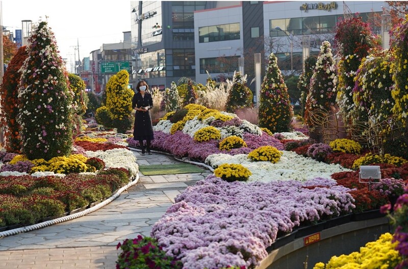 해남미남축제, 단풍 절정기 두륜산 일대서 내달 12일 시작
