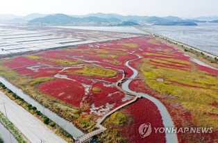 Nine more S.Korean tidal flats to be added as UNESCO world heritage by 2025
