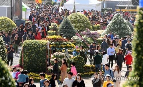 걸어서 꽃구경 얼마 만이야…일상 회복 첫발 '마산국화축제'